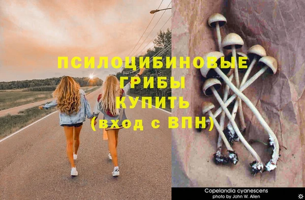 MDMA Premium VHQ Алексеевка