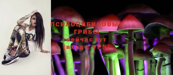 крисы Алексин