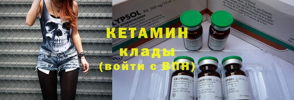 крисы Алексин