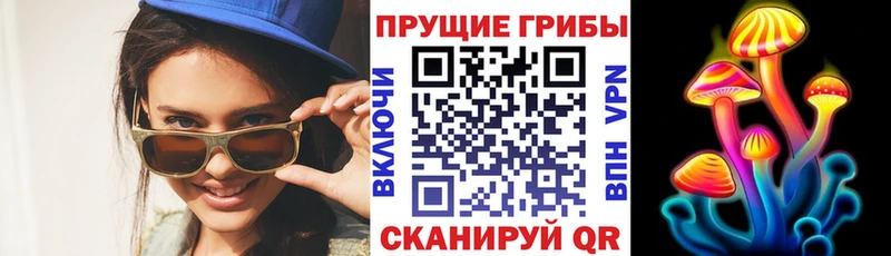 дарк нет официальный сайт  Пролетарск  Галлюциногенные грибы Cubensis 